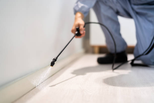 Licensed Cockroach Control service in Reston, VA - Nex Pest Control