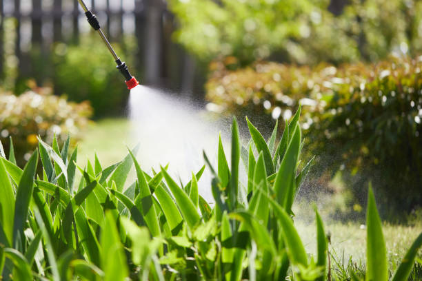 24/7 Emergency Cockroach Control experts in Reston, VA