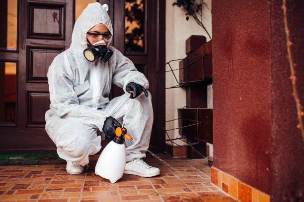 Reliable Cockroach Control contractor in Reston, VA by Nex Pest Control